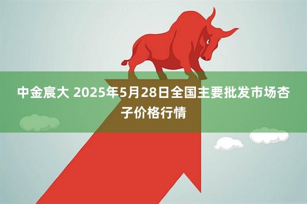 中金宸大 2025年5月28日全国主要批发市场杏子价格行情