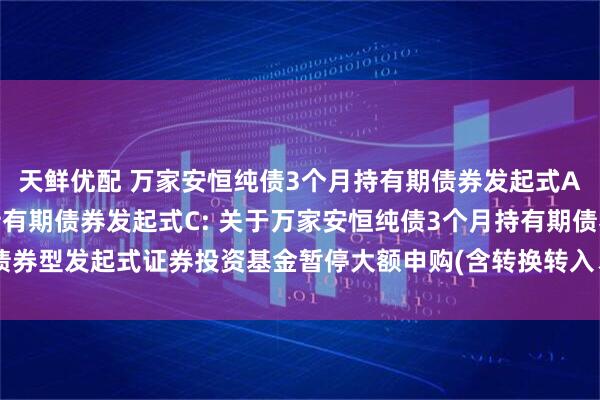 天鲜优配 万家安恒纯债3个月持有期债券发起式A,万家安恒纯债3个月持有期债券发起式C: 关于万家安恒纯债3个月持有期债券型发起式证券投资基金暂停大额申购(含转换转入、定期定额投资业务)的公告