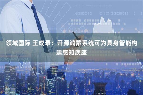 领域国际 王成录：开源鸿蒙系统可为具身智能构建感知底座