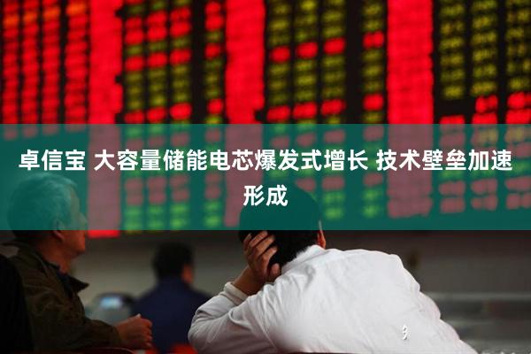卓信宝 大容量储能电芯爆发式增长 技术壁垒加速形成